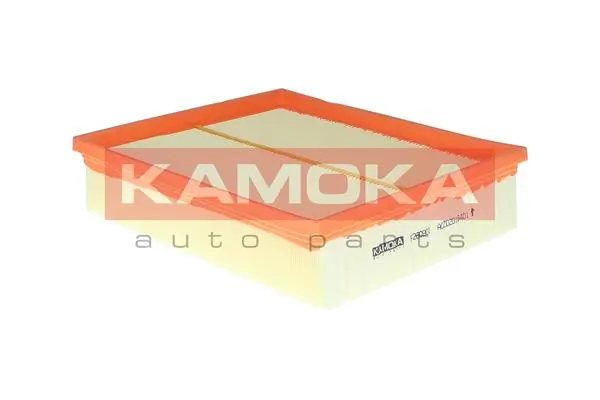 F260901 Kamoka