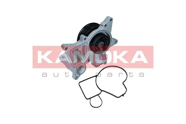 T0298 Kamoka