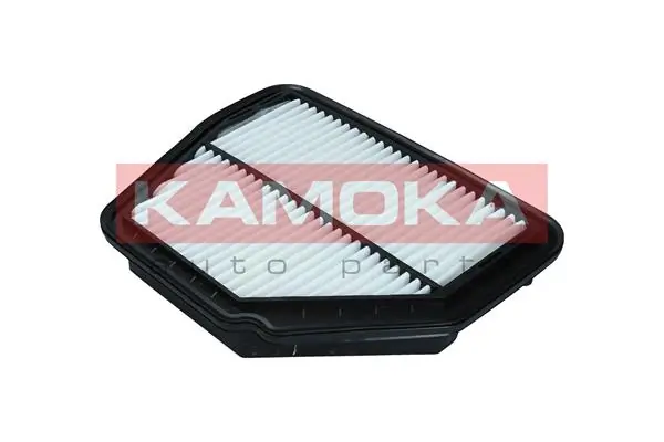 F246101 Kamoka