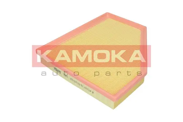 F252601 Kamoka