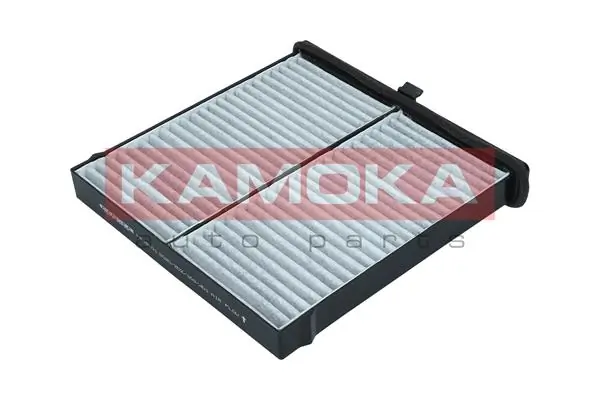 F518101 Kamoka