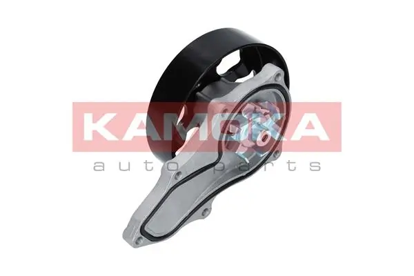 T0146 Kamoka