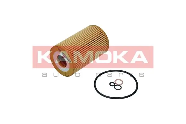 F121701 Kamoka