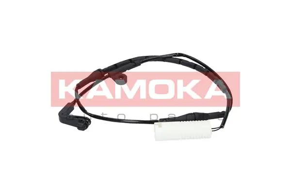 105041 Kamoka