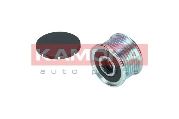 Do koszyka Koło pasowe alternatora BMW X6  E71