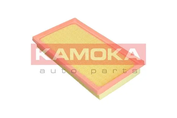 F250301 Kamoka