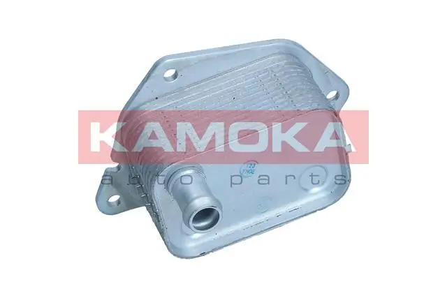 7730039 Kamoka