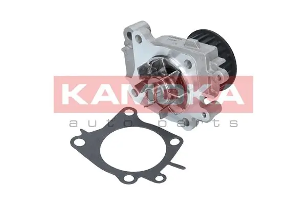T0206 Kamoka