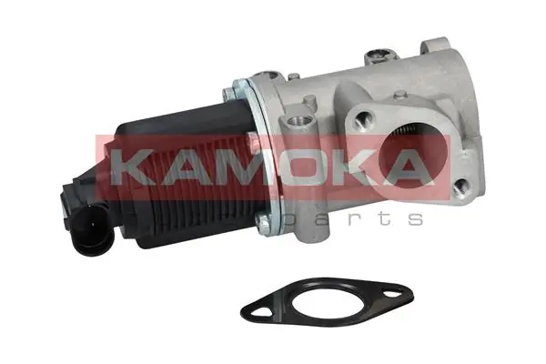 19014 Kamoka