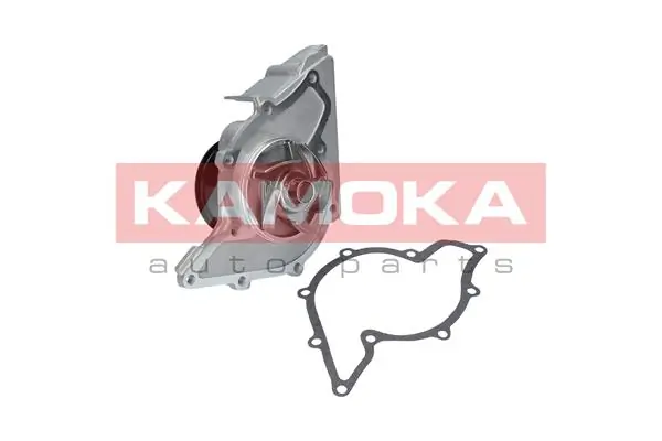 T0046 Kamoka