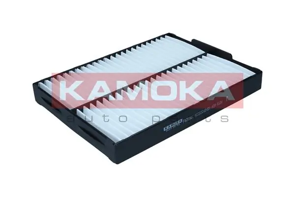 F428901 Kamoka