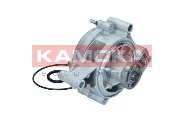 T0007 Kamoka
