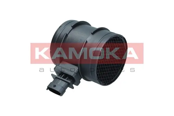 18049 Kamoka