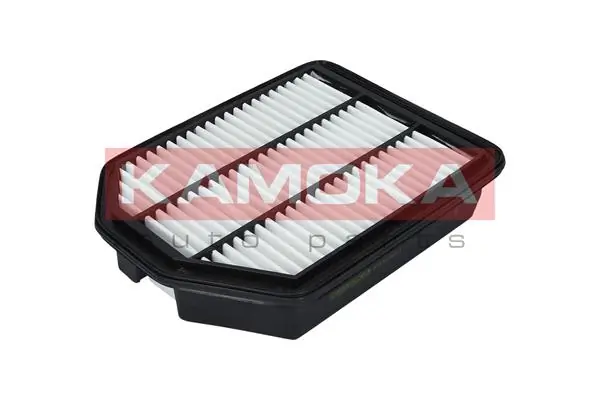 F232901 Kamoka
