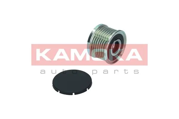  Koło pasowe alternatora Renault SANDERO 2
