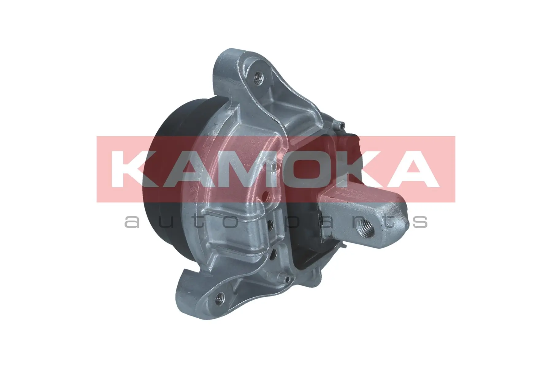 Do koszyka Poduszka (podpora) silnika lewa BMW 7  F01, F02, F03, F04