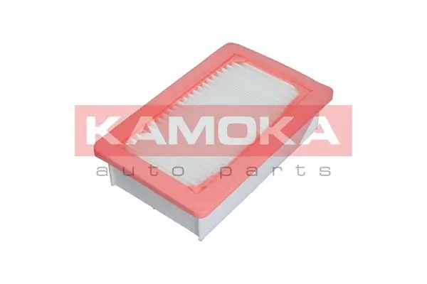 F240201 Kamoka