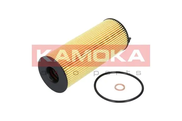 F110701 Kamoka