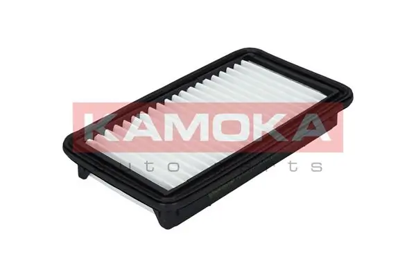 F212901 Kamoka