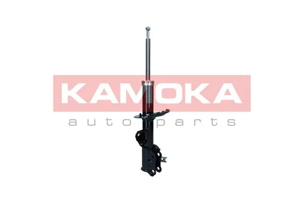 2001098 Kamoka