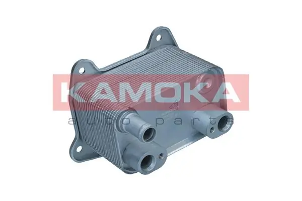 7730068 Kamoka