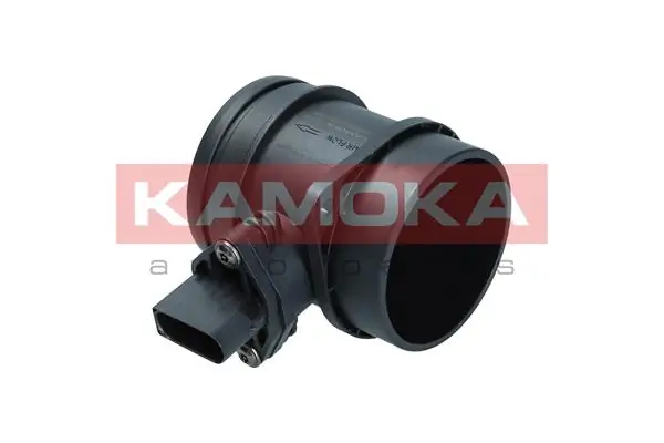 18016 Kamoka