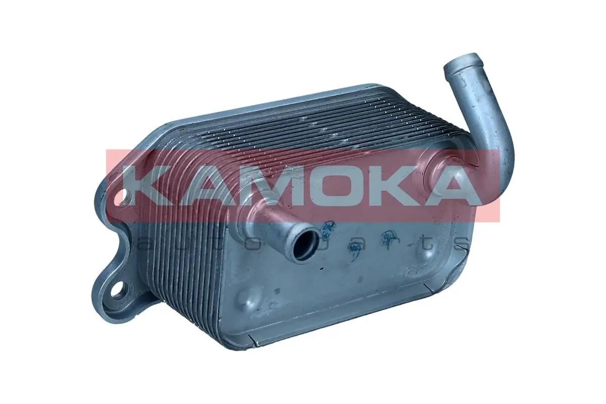 7730050 Kamoka