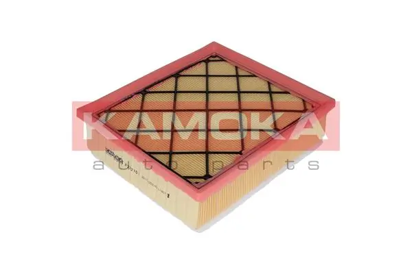 F232101 Kamoka
