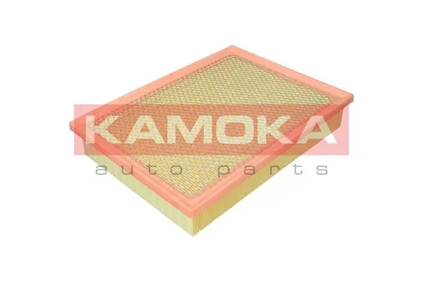 F258801 Kamoka