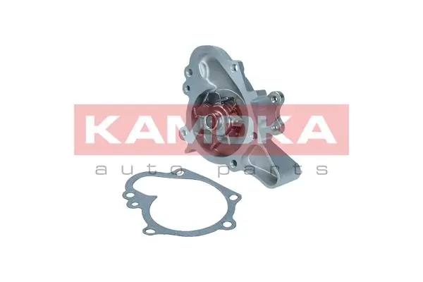 T0159 Kamoka