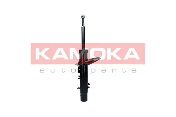 2000583 Kamoka