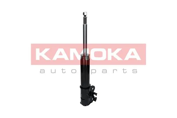 2000311 Kamoka