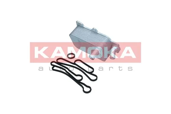 7730041 Kamoka