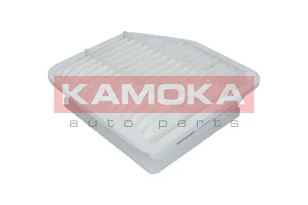 F230101 Kamoka