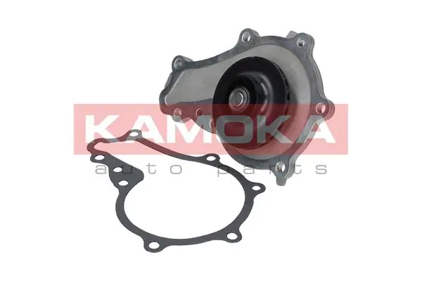 T0081 Kamoka