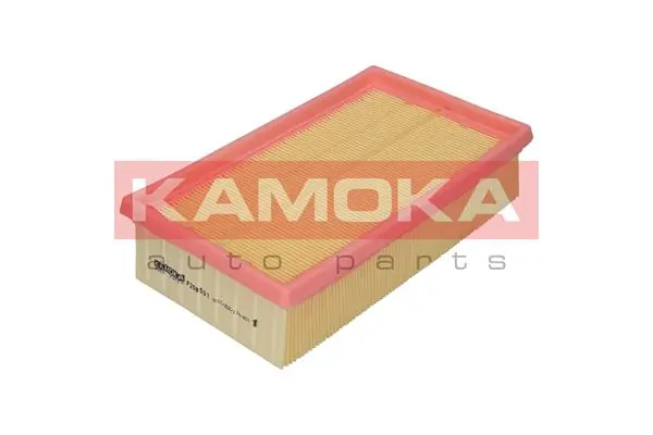 F208501 Kamoka