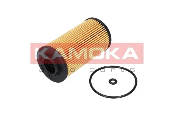 F111001 Kamoka
