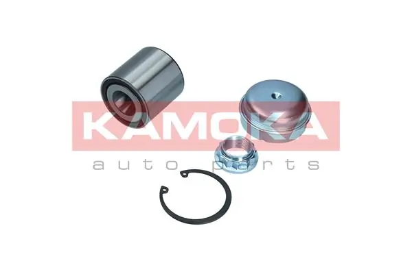5600184 Kamoka