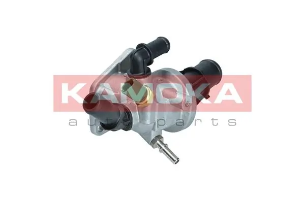 7710217 Kamoka