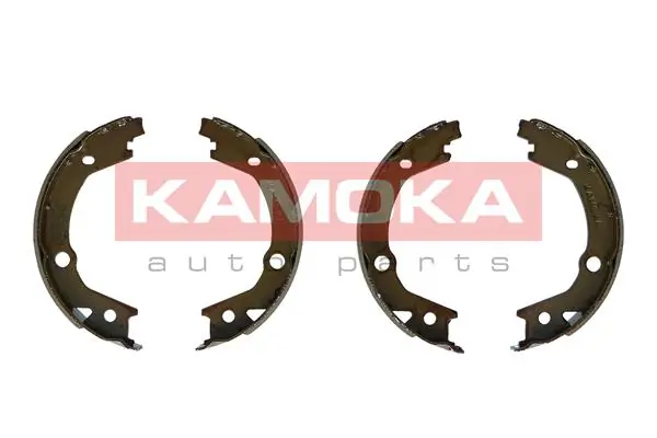JQ212058 Kamoka