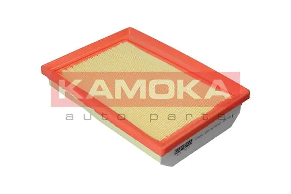F244201 Kamoka
