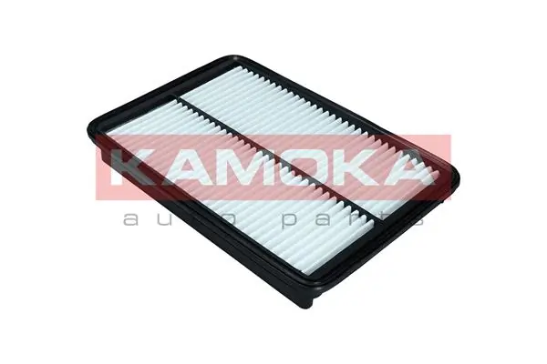 F238801 Kamoka