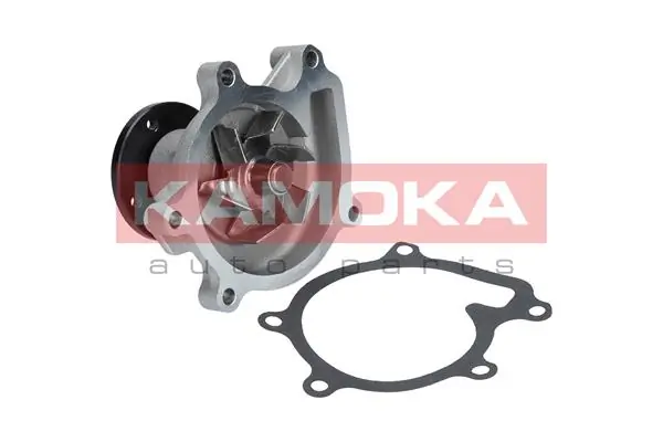 T0269 Kamoka