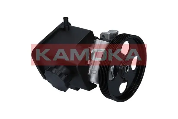 PP134 Kamoka