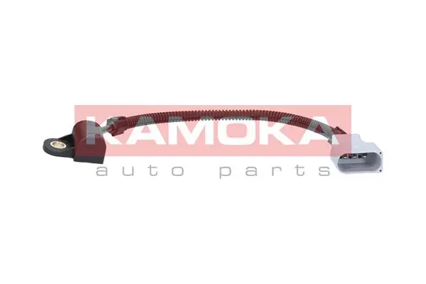108002 Kamoka