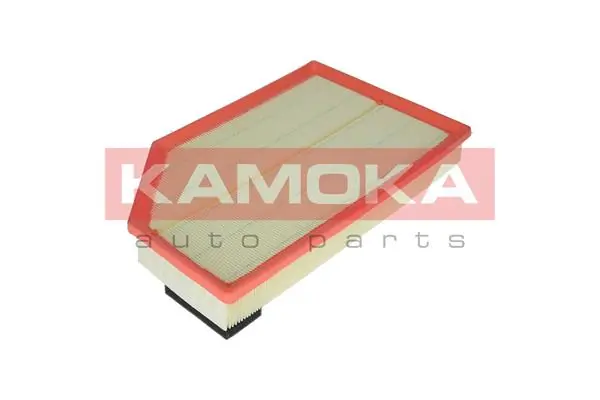 F232301 Kamoka