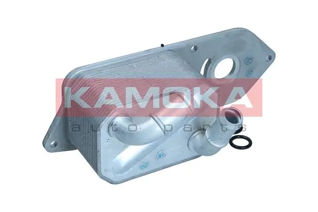 7730079 Kamoka