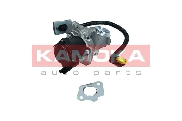 19044 Kamoka