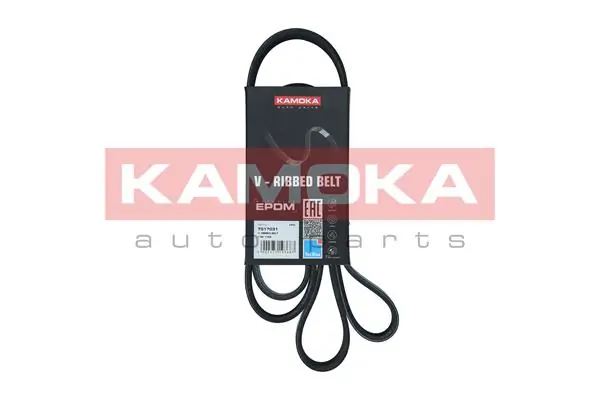 7017031 Kamoka