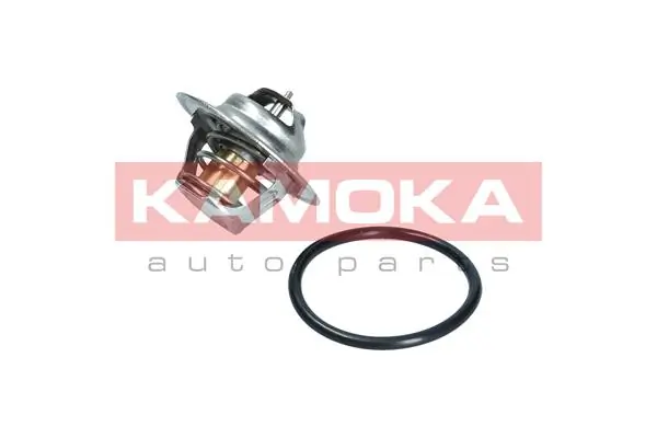 7710095 Kamoka